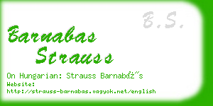 barnabas strauss business card